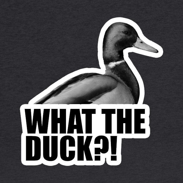 What The Duck?! by timbo